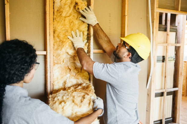 Best Blown-In Insulation  in Lake Zurich, IL