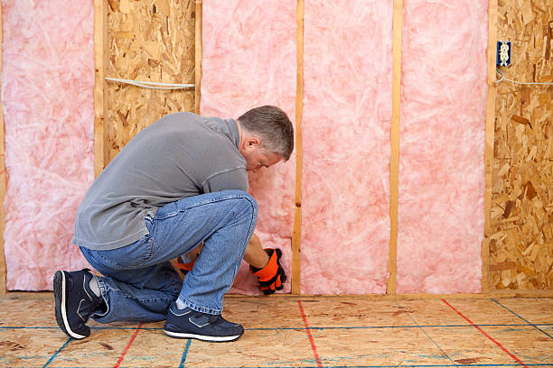 Trusted Lake Zurich, IL Insulation Experts